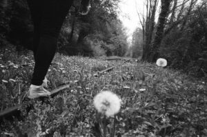 sur les rails - photo argentique romantique