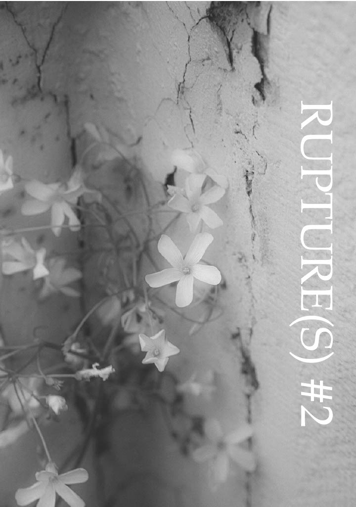 fanzine collaboratif autour des ruptures amicales et amoureuses entre personne queer et en questionnement